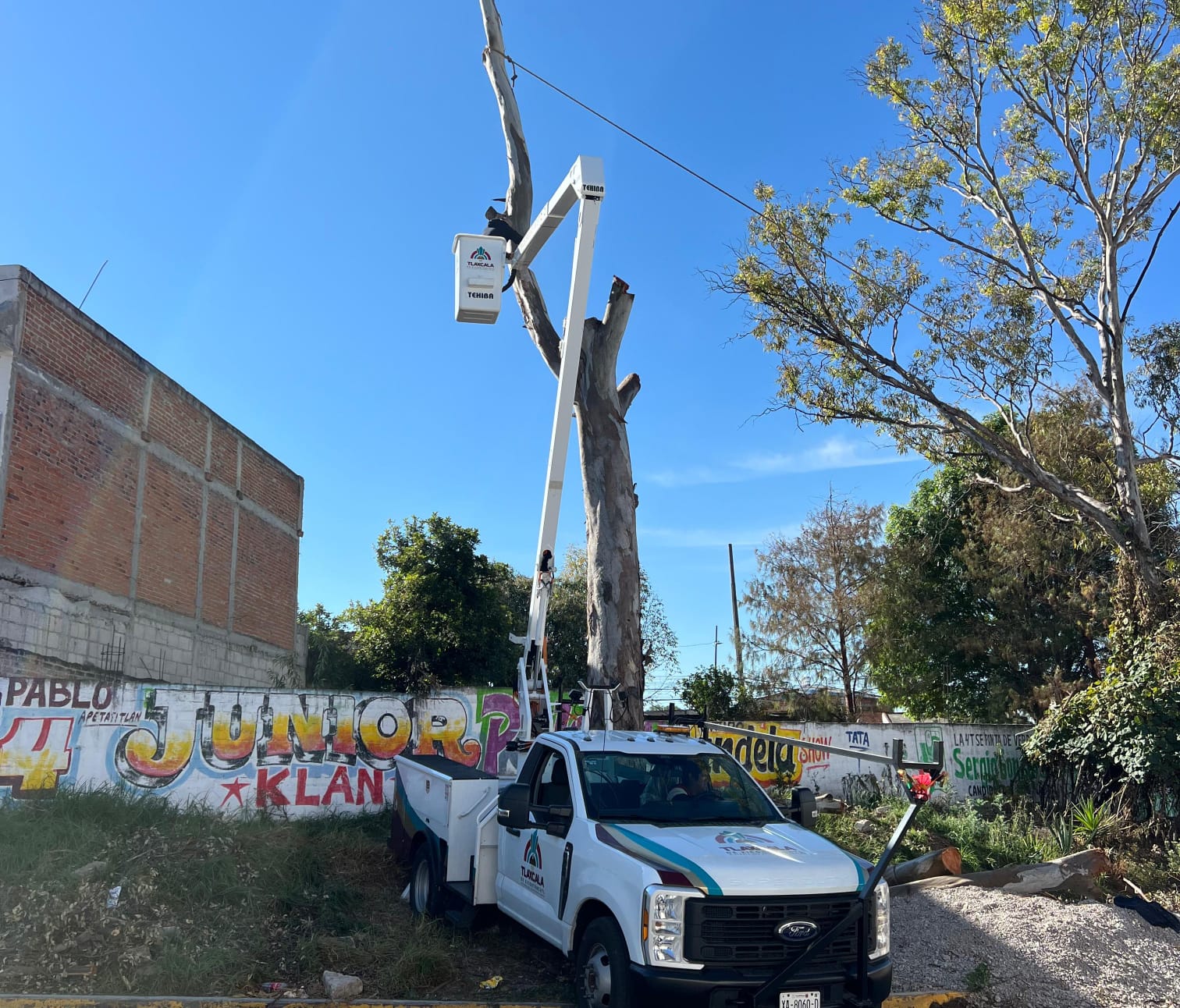 Gobierno Municipal de Tlaxcala retira árboles en riesgo en Loma Xicohténcatl para prevenir accidentes